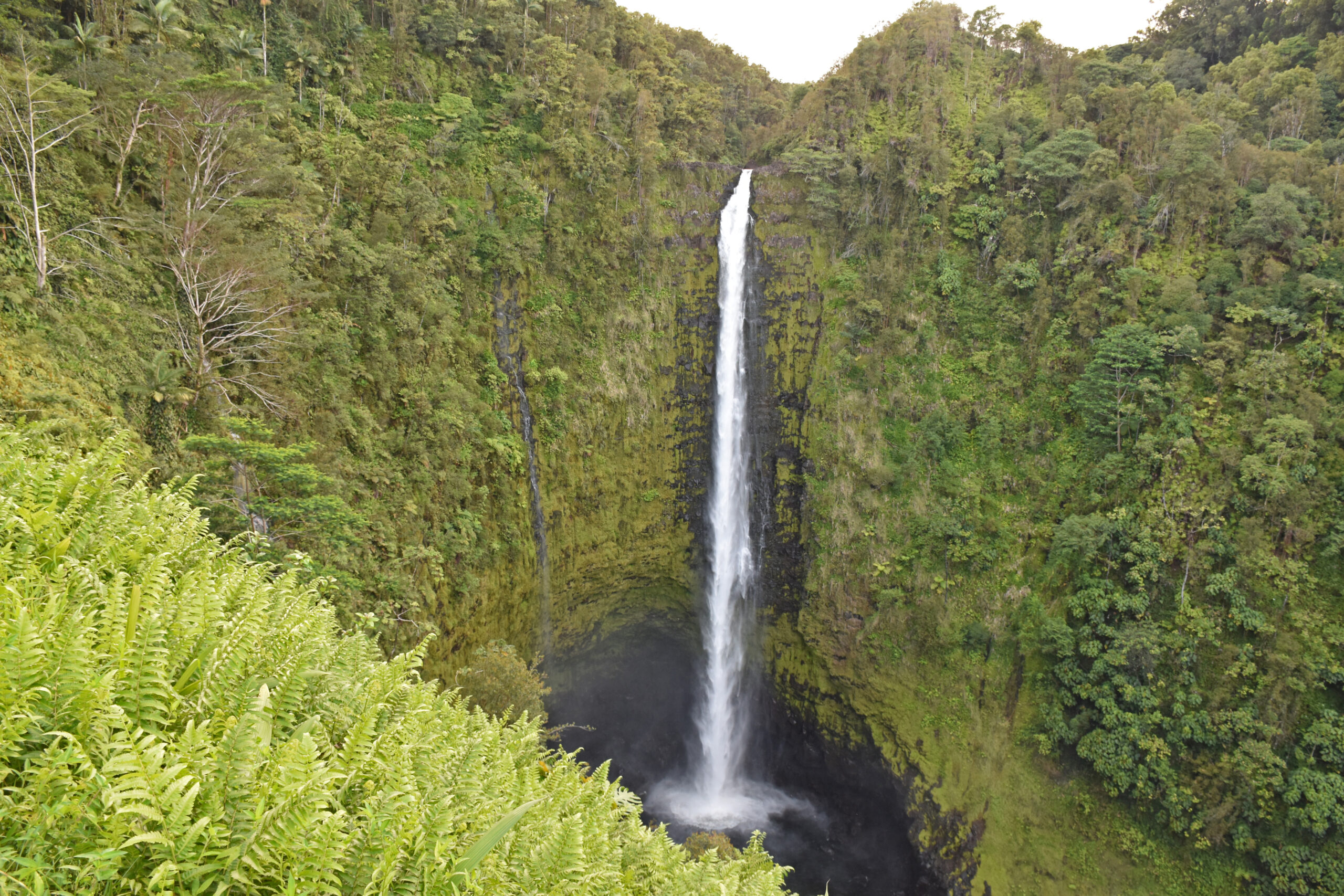 3 Tips for Big Island