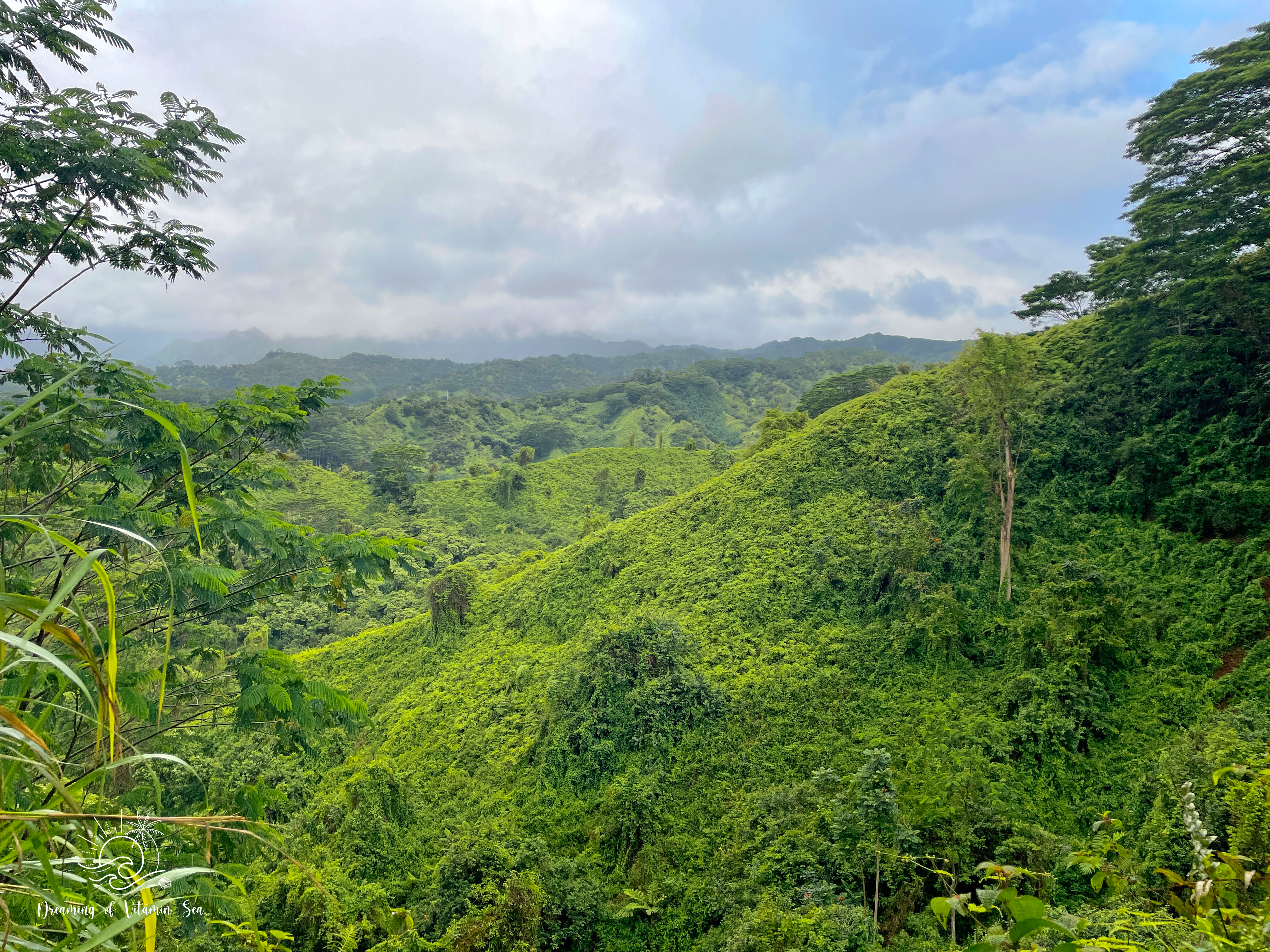 Kuilau Ridge Trail Hike – Kauai